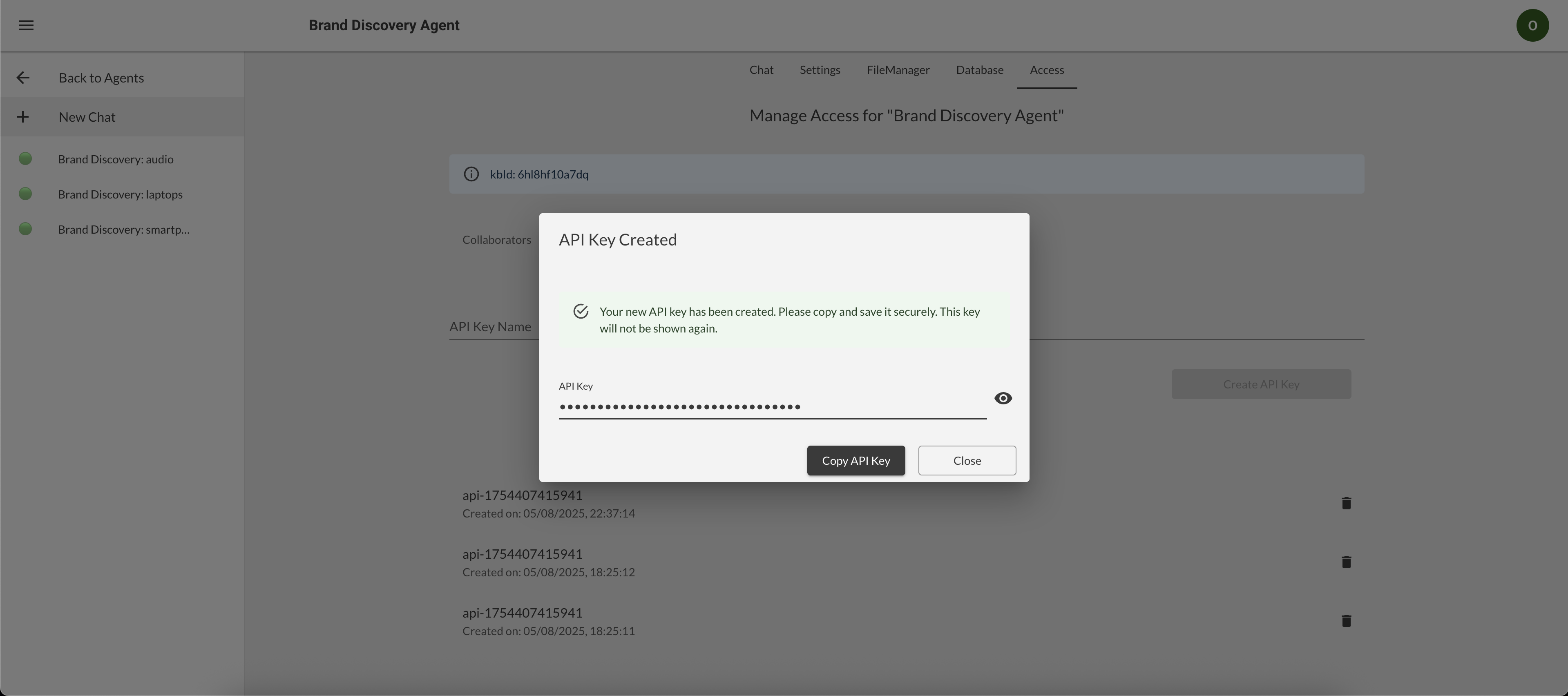 API Key Creation - Click 'Copy API Key' button to copy your key
